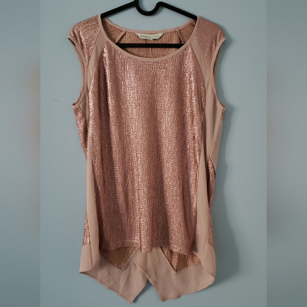 Cleo Medium Pettite Metalic Pink Blouse